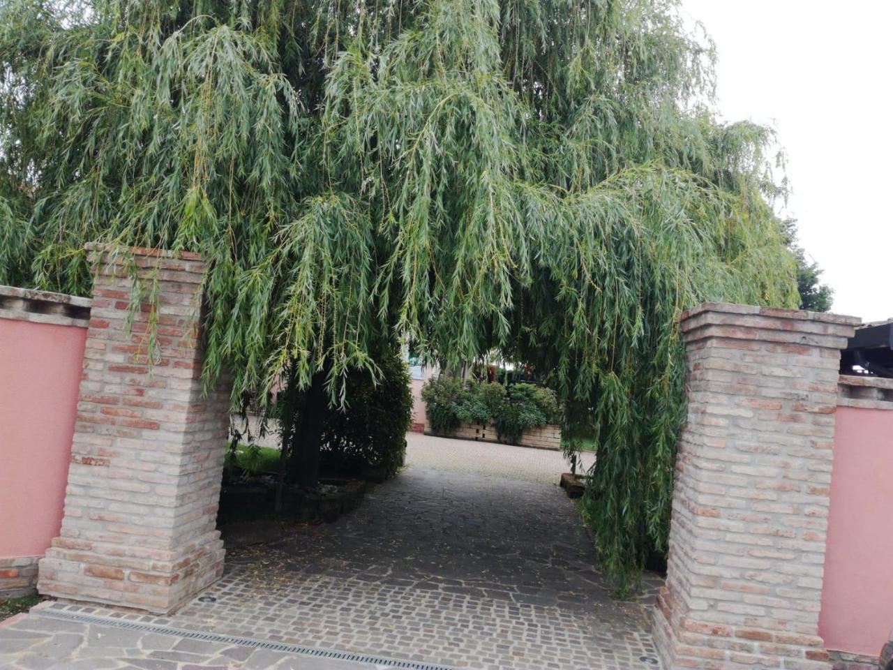 Agriturismo Ferretti Villa Massa Lombarda Екстериор снимка